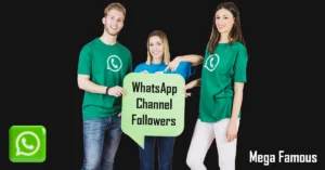 Buy WhatsApp Channel Followers for Unmatched Social Media Success